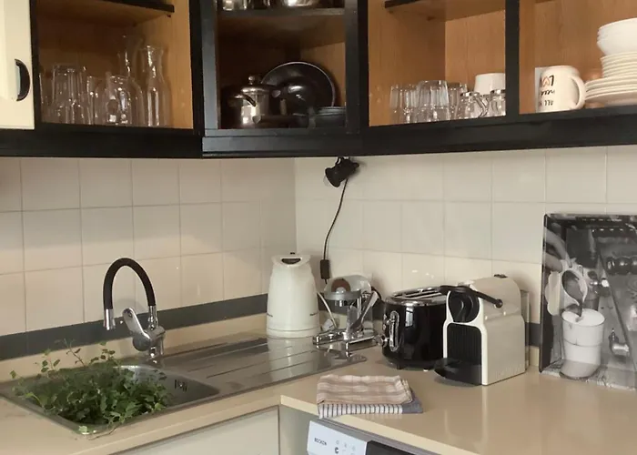 Saberamar & Ria & * أفيرو